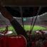 Red Devils