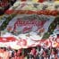 Anfield Banner